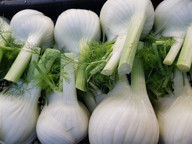 Finocchi - Italia - 1,60 euro al chilogrammo